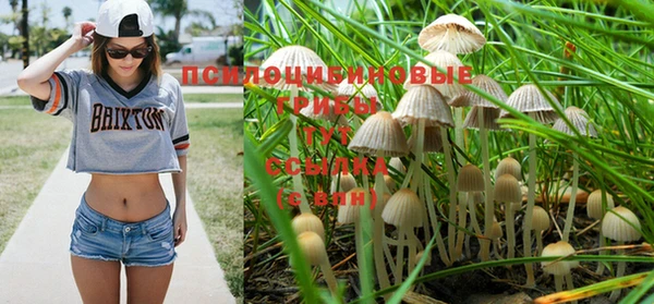 метадон Верея