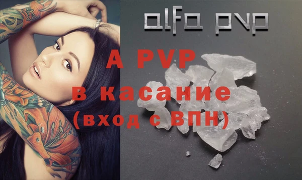 ешки Бородино